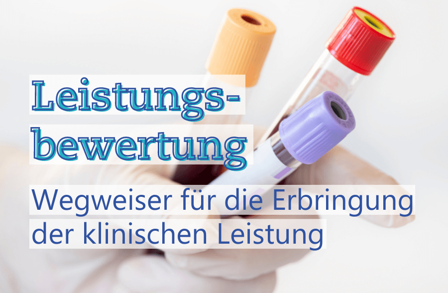 Leistungsbewertung: Wegweiser für die Erbringung der klinischen Leistung-EN-Metecon GmbH