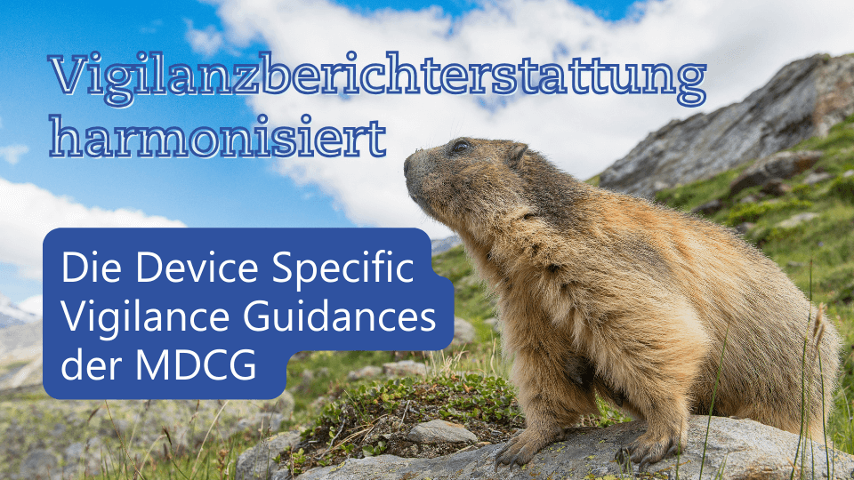 Harmonisierung der Vigilanz-Berichterstattung: Ein Leitfaden zu den Device Specific Vigilance Guidances (DSVG) der MDCG