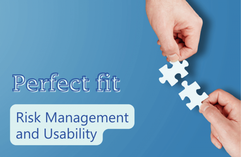 Risk Management and Usability