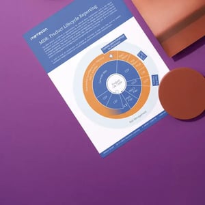 Practical Overview of Clinical Evaluation, PMS, PMCF, and MDR Reporting in the Product Life Cycle